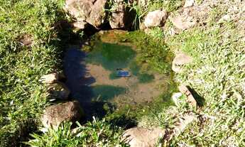 Imagem 3: Chácara / Sítio com 2 Dormitorio(s) localizado(a) no bairro Vila Rosa em Dois Irmãos / RI