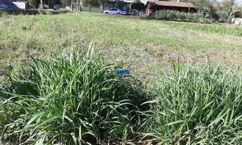 Imagem 4: Lindos Terrenos, 20M² de Área Total