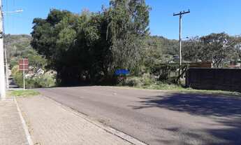 Imagem 7: Lindos Terrenos, 20M² de Área Total