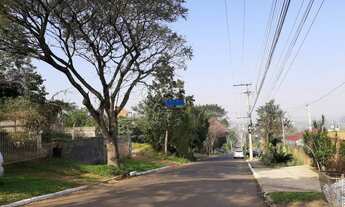 Imagem 4: Terreno plano, 327M² de Área Total