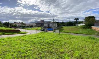 Imagem 3: Terreno mais alto que a rua