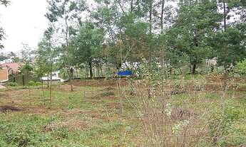 Imagem 1: Terreno com 3 Dormitorio(s) localizado(a) no bairro Catléia em Campo Bom / Rio Grande do