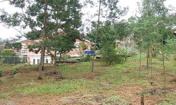 Imagem 4: Terreno com 3 Dormitorio(s) localizado(a) no bairro Catléia em Campo Bom / Rio Grande do