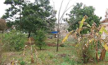 Imagem 7: Terreno com 3 Dormitorio(s) localizado(a) no bairro Catléia em Campo Bom / Rio Grande do
