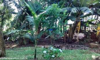 Imagem 2: Chácara / Sítio com 4 Dormitorio(s) localizado(a) no bairro Quatro Colônia em Campo Bom