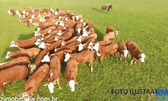 Imagem: Fazenda com 1 Dormitorio(s) localizado(a)