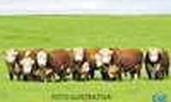 Imagem 5: Fazenda com 1 Dormitorio(s) localizado(a) no bairro em Cachoeira do Sul / RIO GRANDE DO