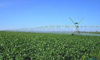 Imagem: Fazenda com 1 Dormitorio(s) localizado(a)