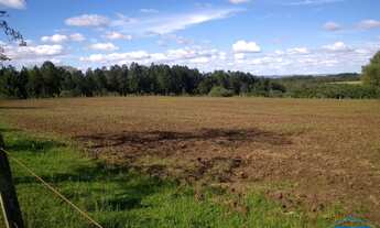 Imagem 2: Chácara / Sítio com 2 Dormitorio(s) localizado(a) no bairro Volta da Charqueada em Cachoe