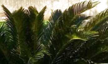 Imagem 3: Casa com 2 Dormitorio(s) localizado(a) no bairro Vila Verde em Cachoeira do Sul / Rio Gra