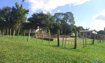 Imagem 3: Terreno com 1 Dormitorio(s) localizado(a) no bairro Barcelos em Cachoeira do Sul / Rio Gr