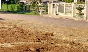 Imagem: Terreno com 3 Dormitorio(s) localizado(a)