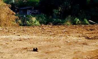Imagem 2: Terreno com 2 Dormitorio(s) localizado(a) no bairro Noêmia em Cachoeira do Sul / Rio Gran