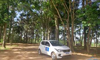 Imagem 6: Chácara com 2 Dormitorio(s) localizado(a) no bairro Três Vendas em Cachoeira do Sul / Rio