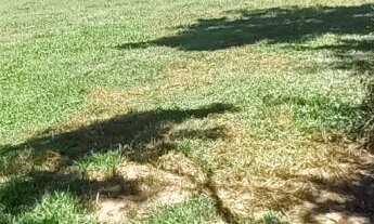 Imagem 3: Terreno com 2 Dormitorio(s) localizado(a) no bairro Ponche Verde em Cachoeira do Sul / Ri