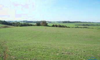 Imagem 3: Área de Terra com 2 Dormitorio(s) localizado(a) no bairro Três Vendas em Cachoeira do Sul