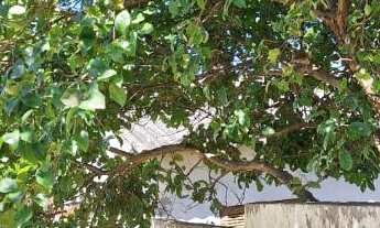 Imagem 6: Imóvel no Barcelos