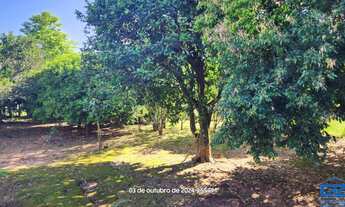 Imagem 3: CHÁCARA , 1M² de Área Construída