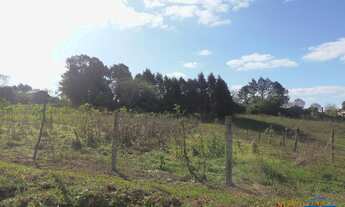 Imagem 3: Terreno com 3 Dormitorio(s) localizado(a) no bairro Xangrila em Cachoeira do Sul / Rio Gr