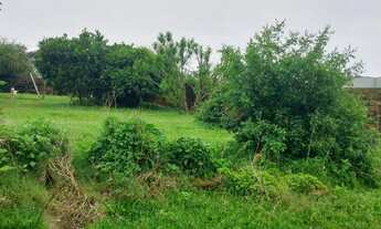 Imagem: ÓTIMA OPORTUNIDADE!, 387M² de Área Total