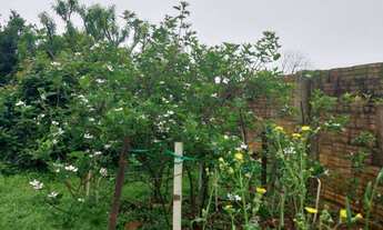 Imagem 3: ÓTIMA OPORTUNIDADE!, 387M² de Área Total