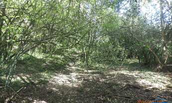 Imagem 2: Chácara com 2 Dormitorio(s) localizado(a) no bairro Cachoeira do Sul em Cachoeira do Sul