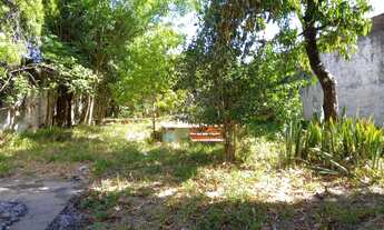 Imagem: Terreno com 3 Dormitorio(s) localizado(a)