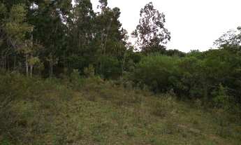 Imagem 4: Terreno Comercial com 3 Dormitorio(s) localizado(a) no bairro em Eldorado do Sul / Rio G