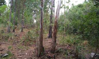 Imagem 5: Terreno Comercial com 3 Dormitorio(s) localizado(a) no bairro em Eldorado do Sul / Rio G