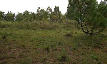 Imagem 7: Terreno Comercial com 3 Dormitorio(s) localizado(a) no bairro em Eldorado do Sul / Rio G