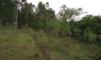 Imagem 3: Terreno Comercial com 3 Dormitorio(s) localizado(a) no bairro em Eldorado do Sul / Rio G