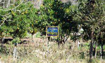 Imagem 7: Fazenda com 3 Dormitorio(s) localizado(a) no bairro Catanduva Grande (Distrito) em Santo