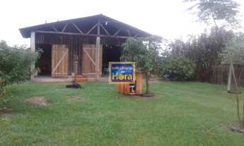 Imagem 6: SÍTIO ESMERALDA DO MINUANO