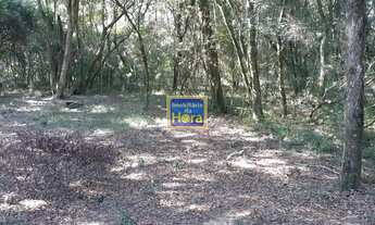 Imagem 3: SÍTIO RECANTO DO BUGIOS