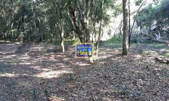 Imagem 5: SÍTIO RECANTO DO BUGIOS