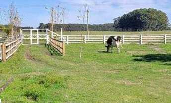 Imagem: SÍTIO LOCALIZADO NA FORTALEZA, ÓTIMA ESTRUTURA