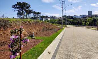 Imagem: Terreno com 2 Dormitorio(s) localizado(a)