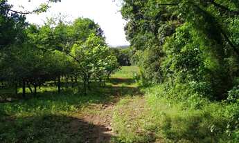 Imagem 5: Chácara / Sítio com 4 Dormitorio(s) localizado(a) no bairro TRAVESSÃO em Dois Irmãos / RI