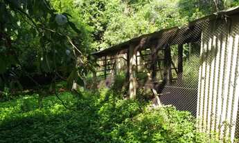 Imagem 7: Chácara / Sítio com 4 Dormitorio(s) localizado(a) no bairro TRAVESSÃO em Dois Irmãos / RI