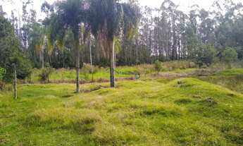 Imagem 7: Área de Terra com 2 Dormitorio(s) localizado(a) no bairro Nova Vila em Ivoti / Rio Grande