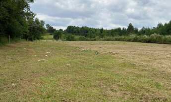 Imagem 3: Área de Terra com 2 Dormitorio(s) localizado(a) no bairro Nova Vila em Ivoti / Rio Grande