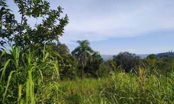 Imagem 5: Área de Terra com 3 Dormitorio(s) localizado(a) no bairro Centro em Presidente Lucena / R