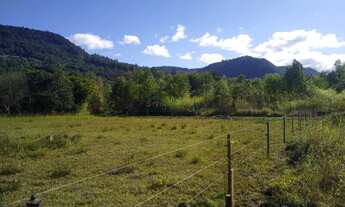 Imagem 6: Área de Terra com 3 Dormitorio(s) localizado(a) no bairro Lichtenthal em Picada Café / Ri