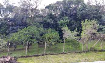 Imagem 2: Terreno com 2 Dormitorio(s) localizado(a) no bairro Vista Alegre em Ivoti / Rio Grande do