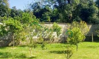 Imagem: Amplo terreno com frutíferas e murado