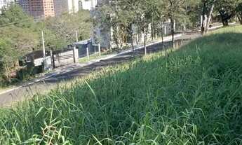 Imagem 4: Terreno com ótima vista panorâmica no morro dos Papagaios em Novo Hamburgo