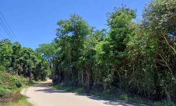 Imagem: Área de Terra com 2 Dormitorio(s) localizado(a)