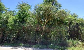 Imagem 3: Área de Terra com 2 Dormitorio(s) localizado(a) no bairro Feitoria Nova em Ivoti / Rio Gr