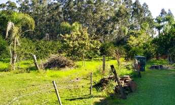 Imagem 3: Chácara / Sítio com 3 Dormitorio(s) localizado(a) no bairro Campestre em São José do Hort
