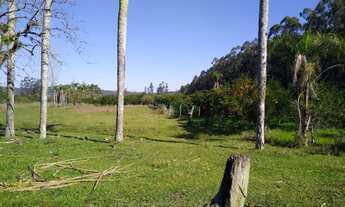 Imagem 6: Chácara / Sítio com 3 Dormitorio(s) localizado(a) no bairro Campestre em São José do Hort